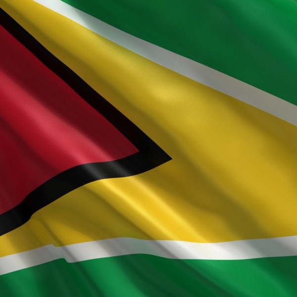 C105 Guyana Flag